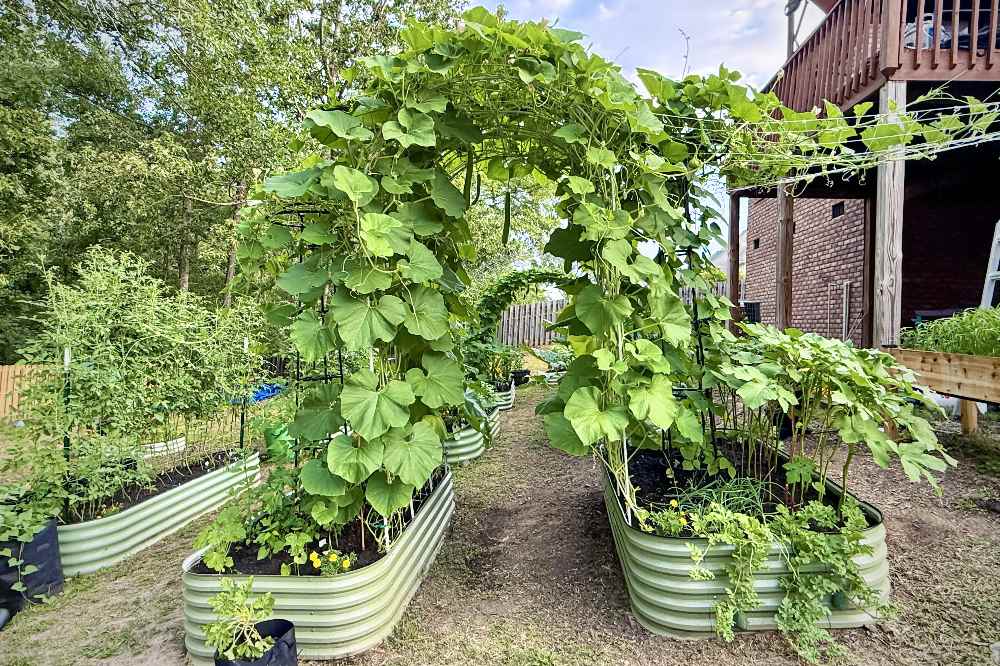 Vertical Gardening in Metal Raised Beds | VEGEGA