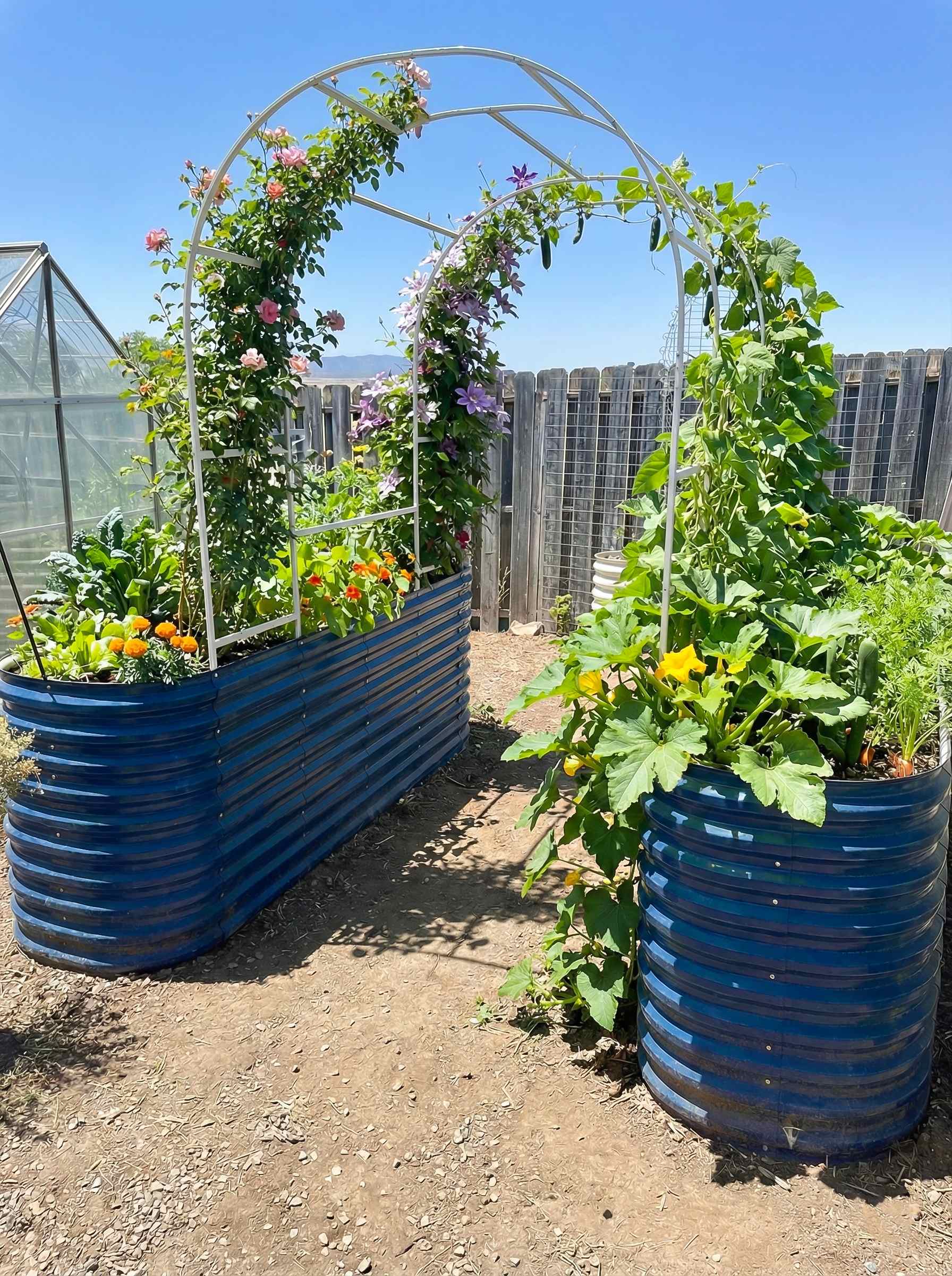 How to Grow Climbing Vegetables Vertically in a Raised Bed | VEGEGA