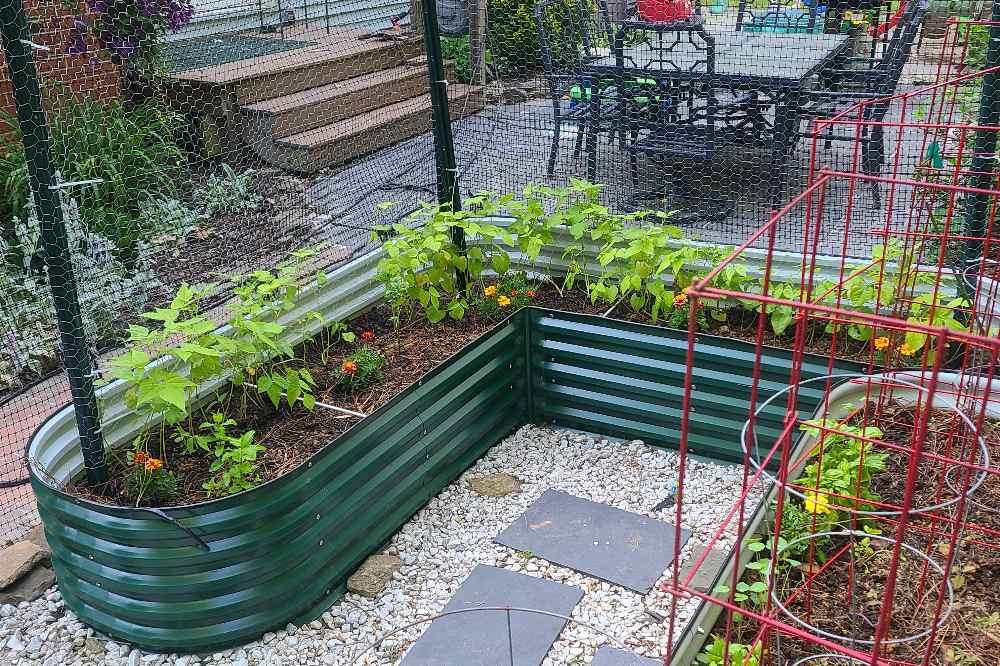 How to Keep Your Raised Bed Productive From Summer to Fall