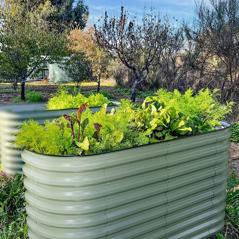 32 inches tall galvanized raised beds-Vegega