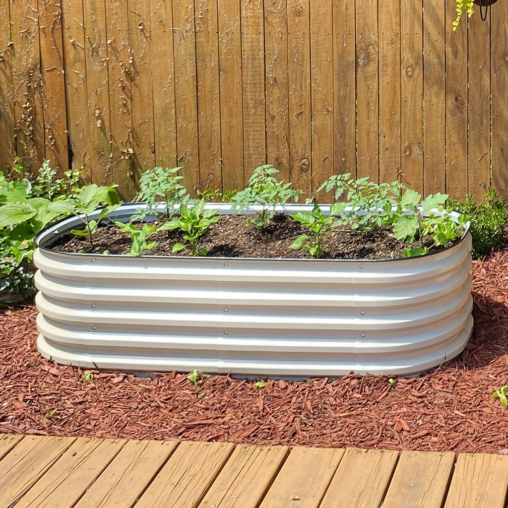 corrugated metal raised bed growing pepper seedlings-Vegega
