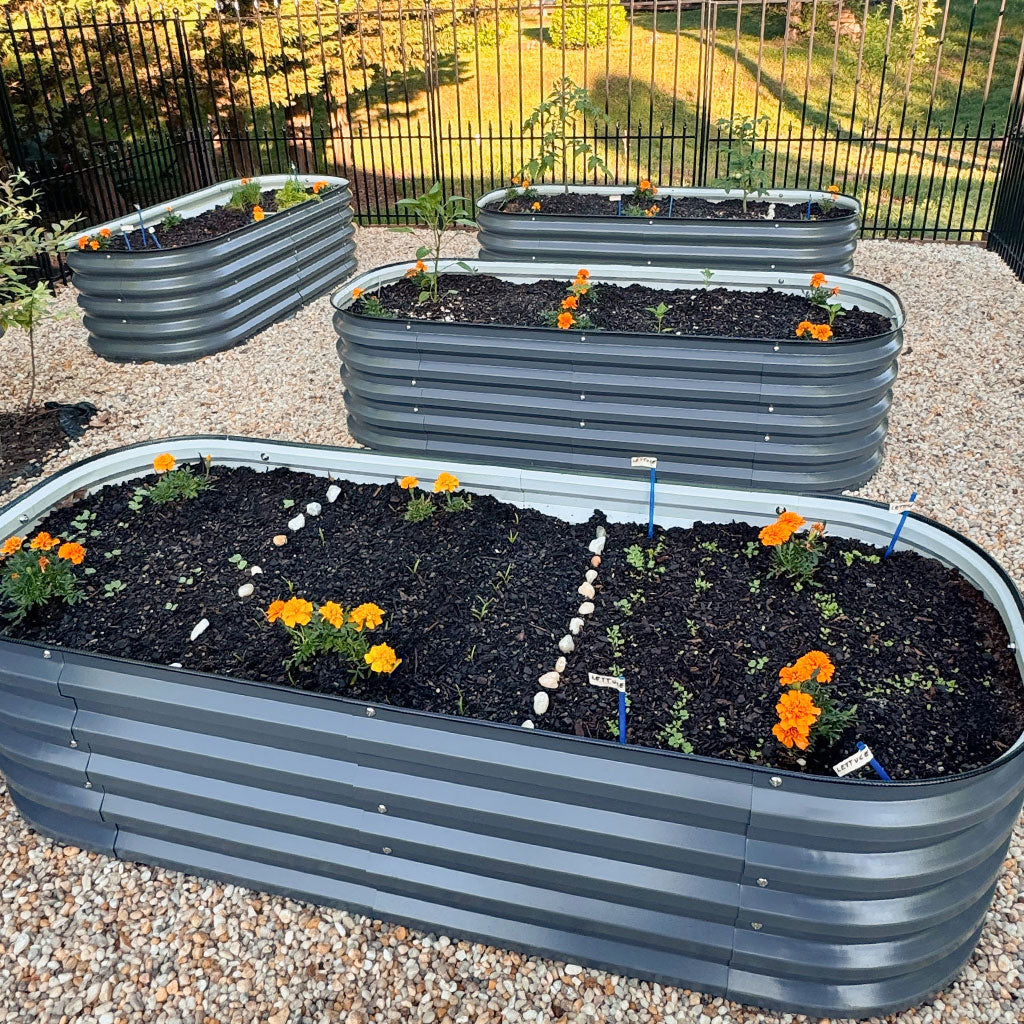 corrugated metal raised beds-Vegega