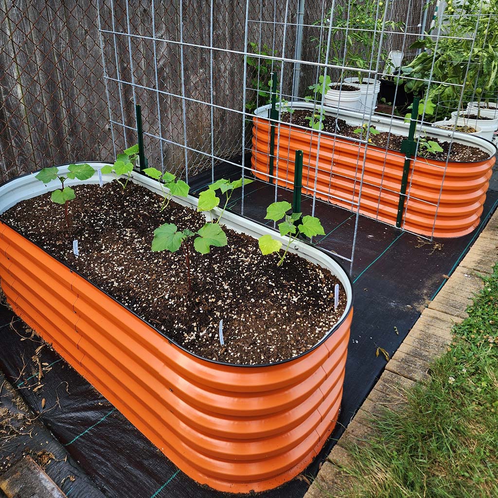 orange garden boxes growing plants-Vegega