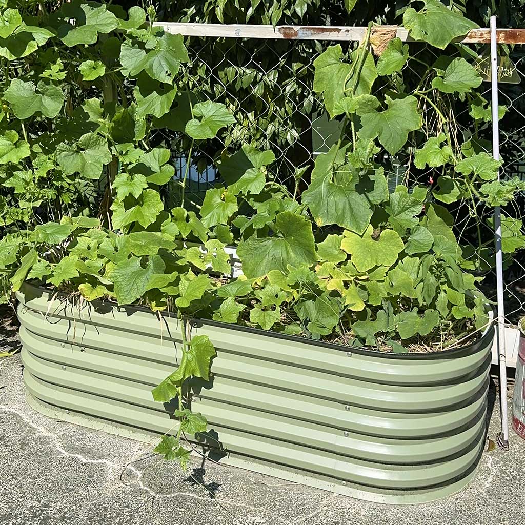 Corrugated Metal Raised Beds