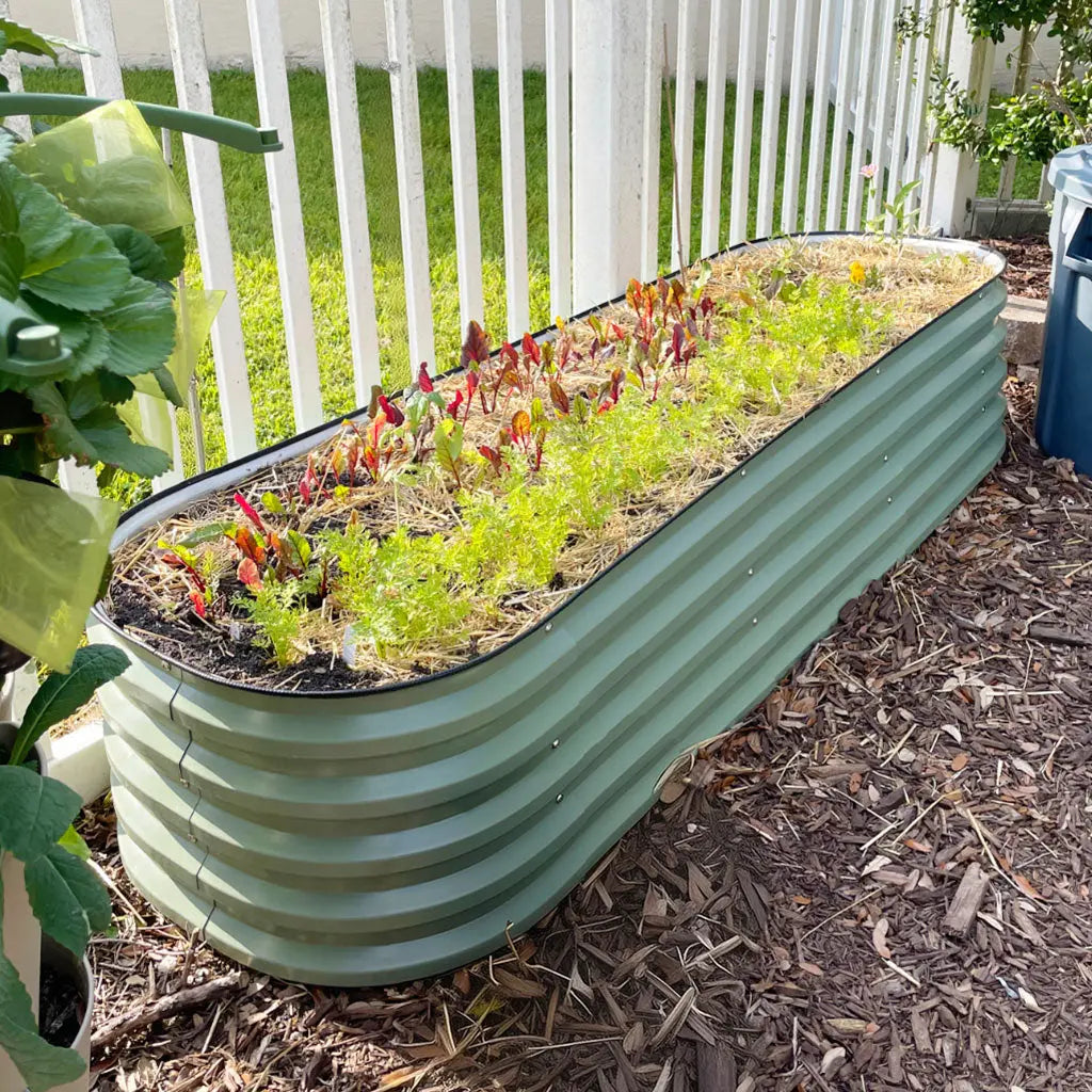 6.5x2 Raised Bed