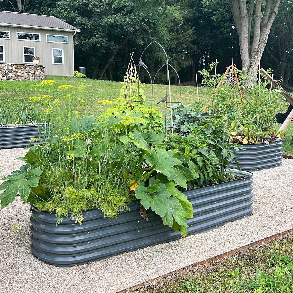 steel planter boxes growing plants-Vegega