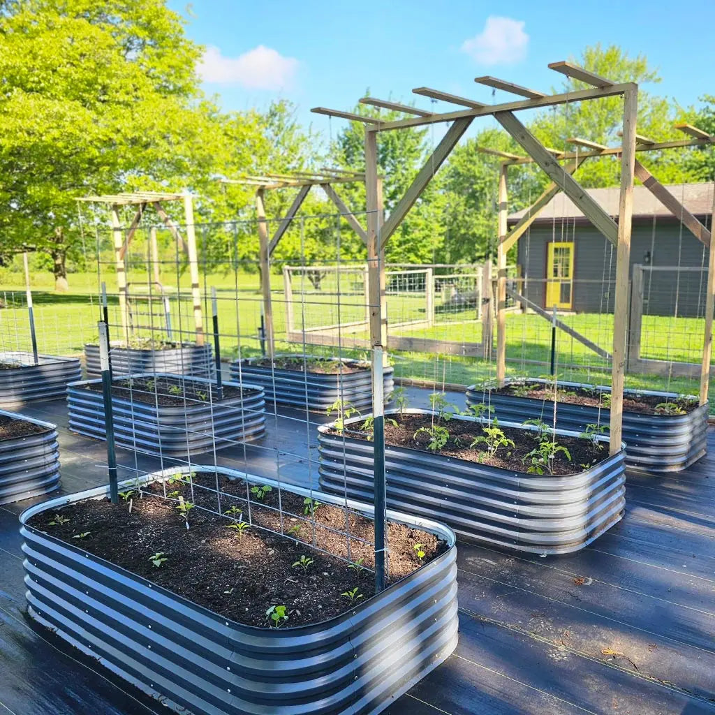 eight metal planter boxes in greenhouse-Vegega