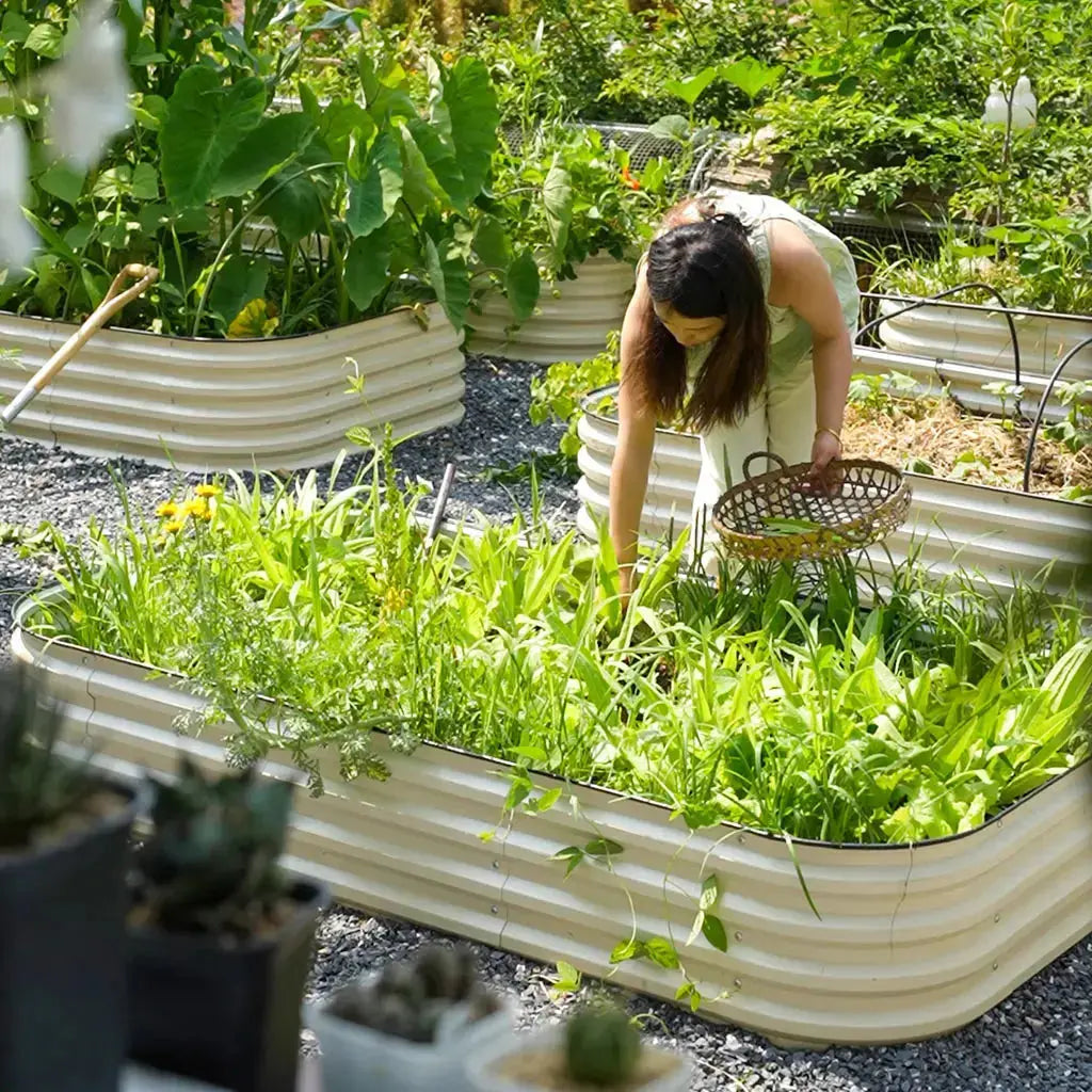 planter boxes ideas layout-Vegega