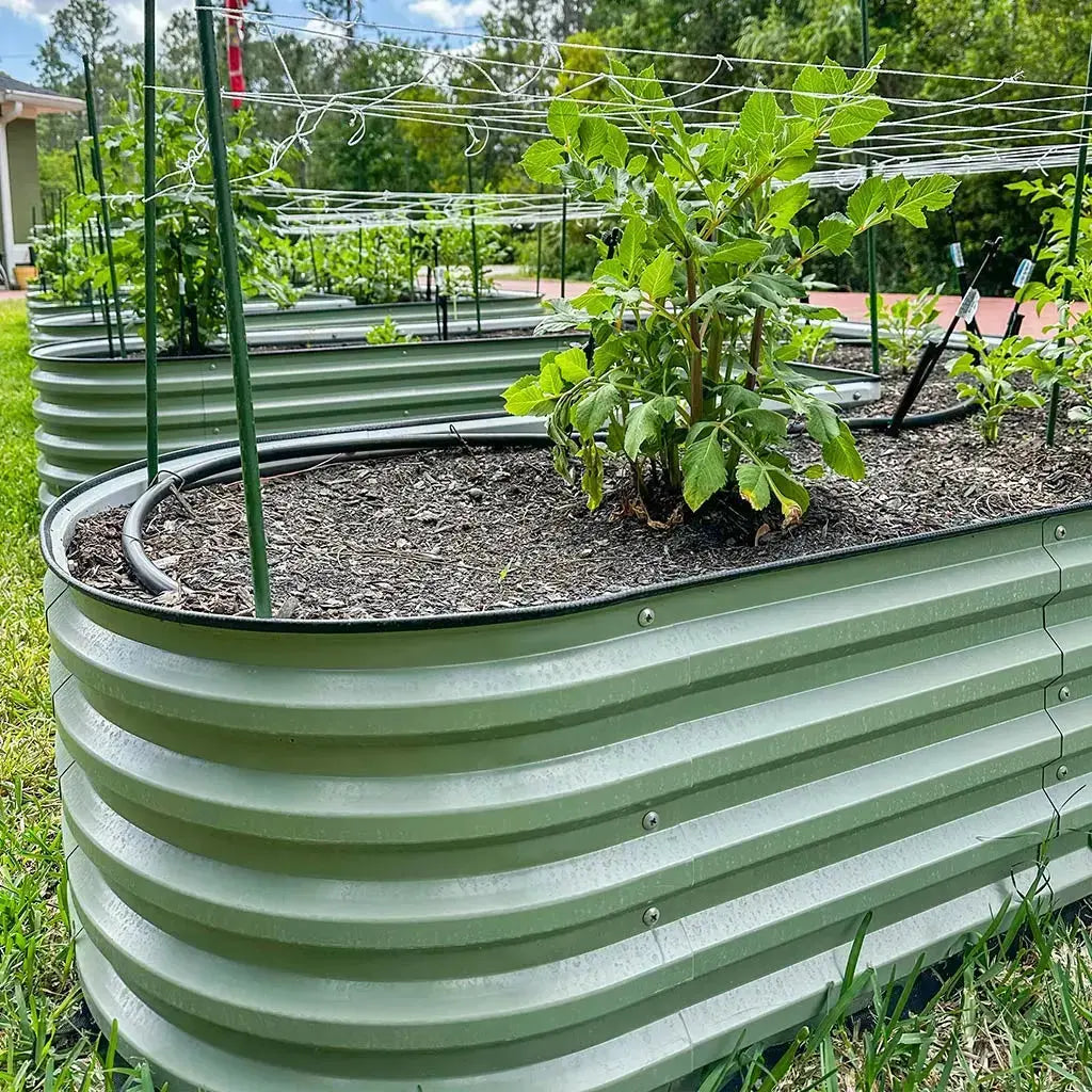 u-shaped-metal-garden-bed-with-irrigation-system-installed-Vegega.jpg__PID:ee5be7ad-c999-4a71-b450-a59d6149835b