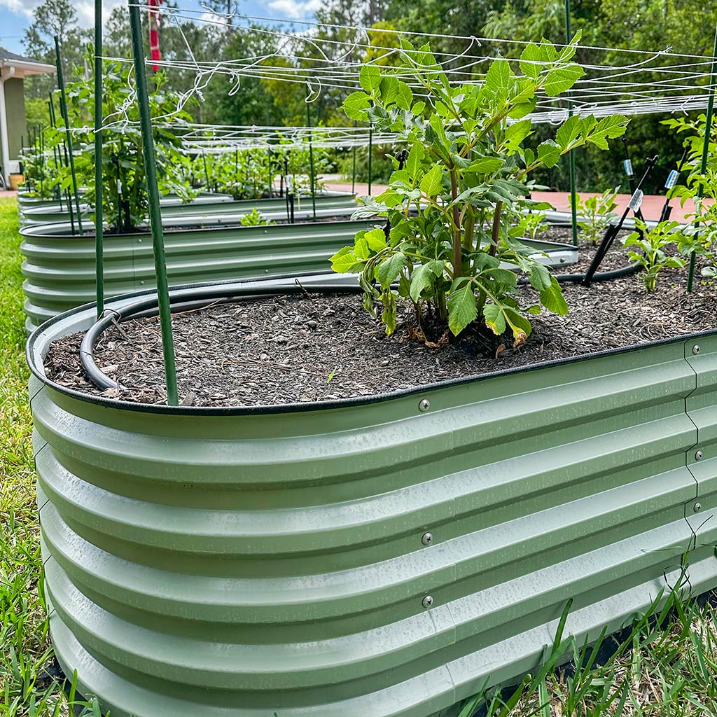 u-shaped-metal-garden-bed-with-irrigation-system-installed-Vegega.jpg__PID:ee5be7ad-c999-4a71-b450-a59d6149835b