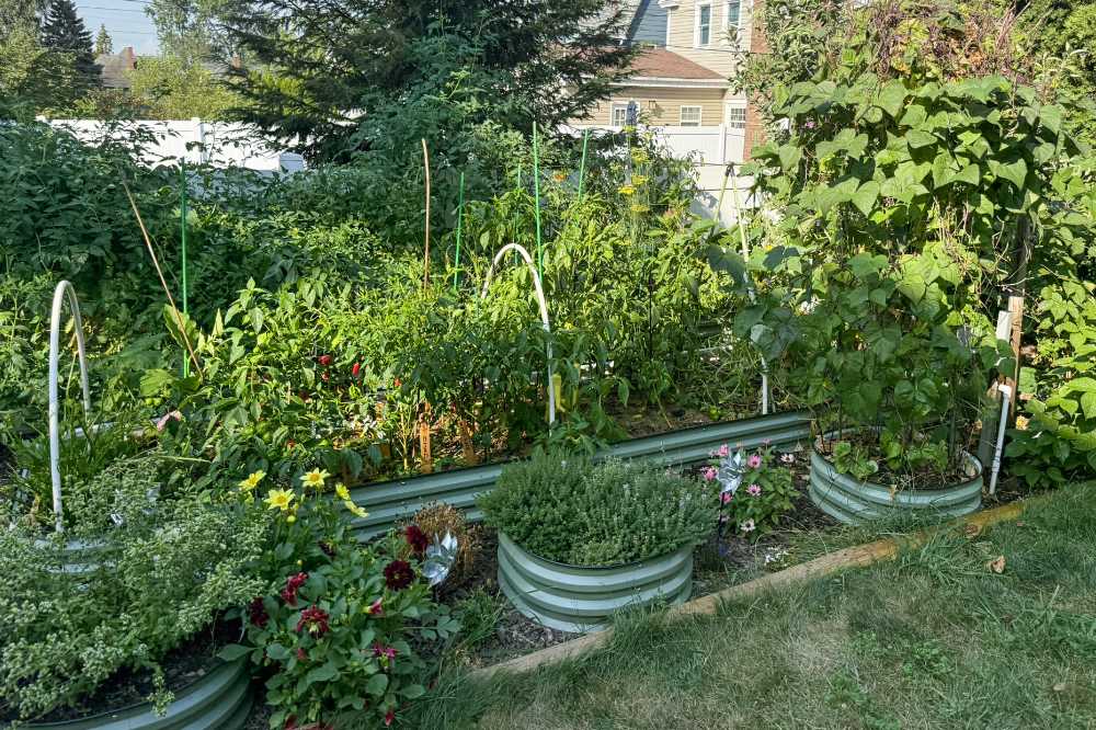 8 Ways to Keep Soil Warm In Metal Raised Garden Beds | VEGEA