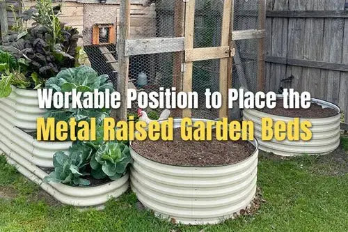Workable Position to Place the Metal Raised Garden Beds