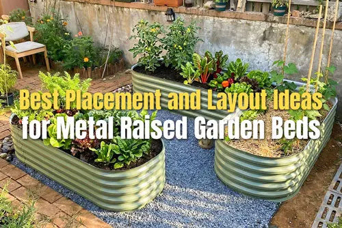 Best Placement and Layout Ideas for Metal Raised Garden Beds | VEGEGA