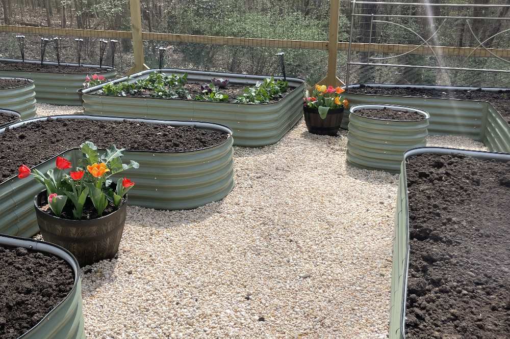 Bulbs To Plant In Fall | VEGEGA