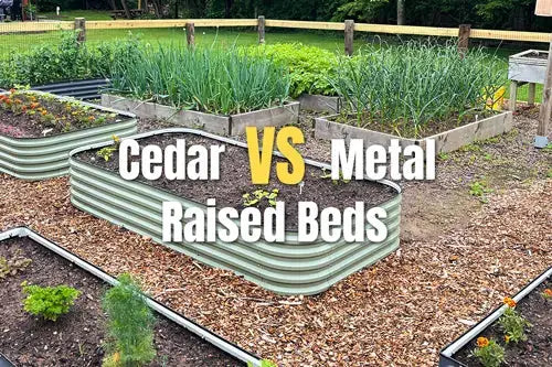 Cedar vs Metal Raised Beds: Which One Actually Lasts Longer Outdoors | VEGEGA