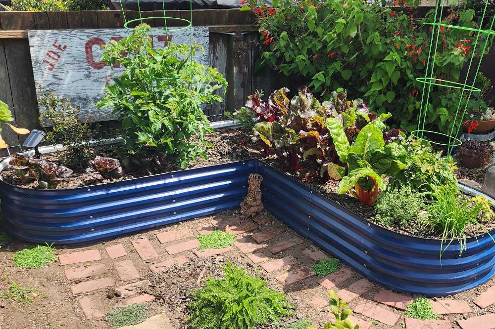 Top Perennial Vegetables That Thrive in Metal Raised Beds | VEGEGA