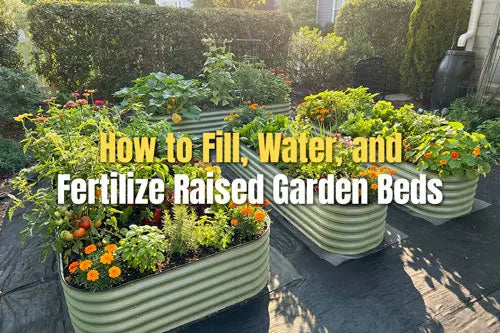 How to Fill, Water, and Fertilize Raised Garden Beds | VEGEGA