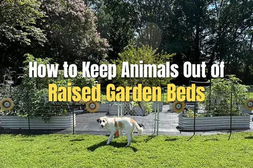 How to Keep Animals Out of Raised Garden Beds | VEGEGA