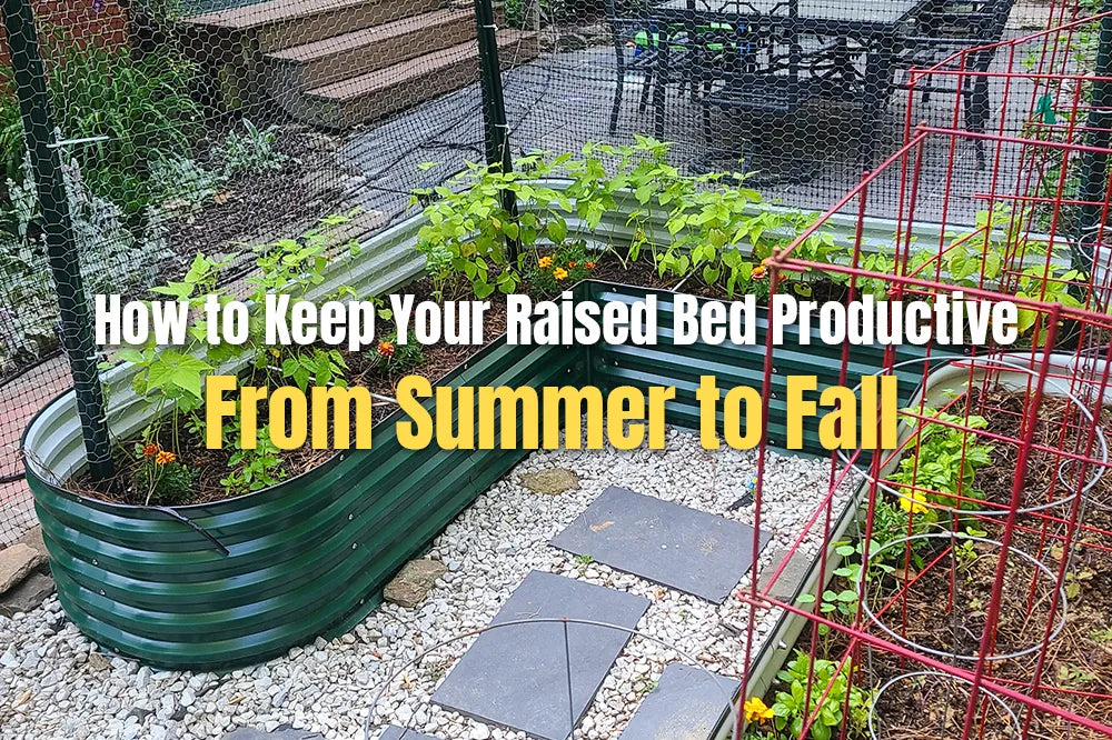 How to Keep Your Raised Bed Productive From Summer to Fall | VEGEGA