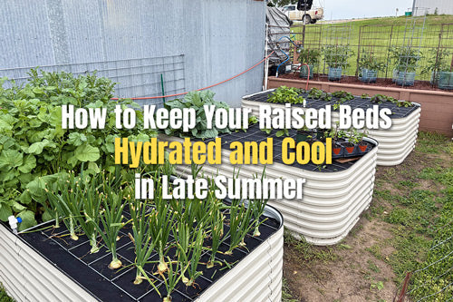 How to Keep Your Raised Beds Hydrated and Cool in Late Summer