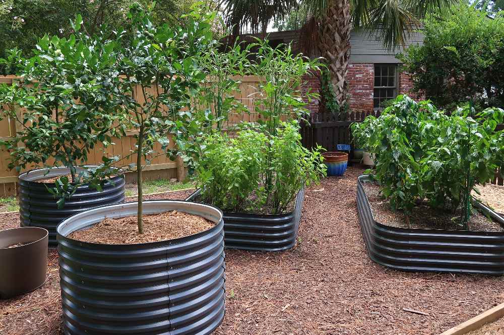How to Prepare Raised Bed for Fall Planting | VEGEGA