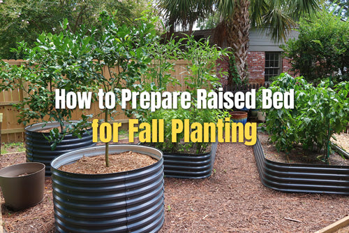 How to Prepare Raised Bed for Fall Planting