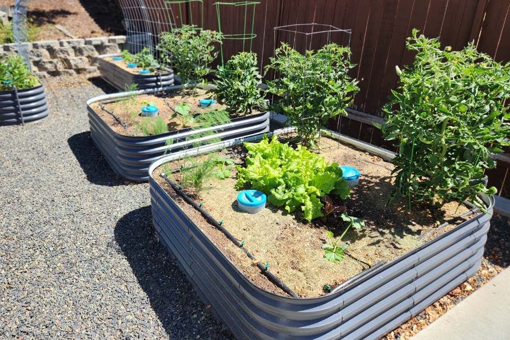 How to Prevent Soil Erosion and Slumping in Raised Garden Beds
