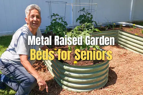 Metal Raised Garden Beds for Seniors: A More Comfortable Way to Keep Gardening | VEGEGA
