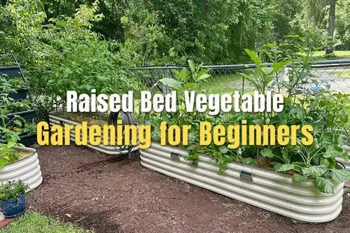 Raised Bed Vegetable Gardening for Beginners | VEGEGA