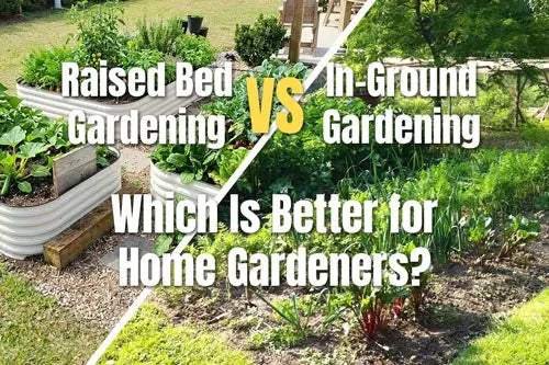 Raised Bed Gardening vs In-Ground Gardening | VEGEGA