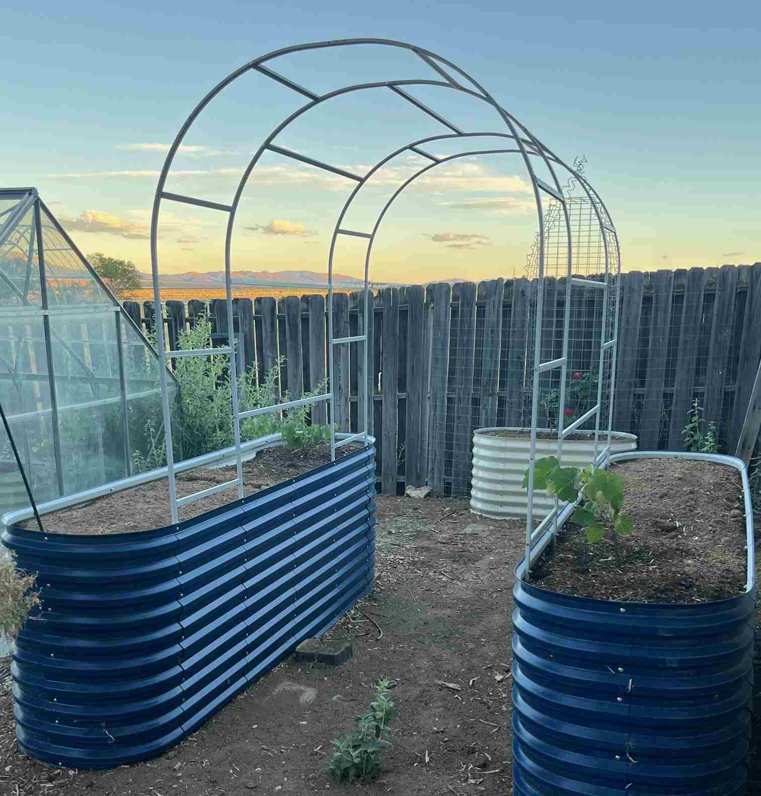 Seasonal Garden Protection: Frost, Wind & Rain | VEGEGA