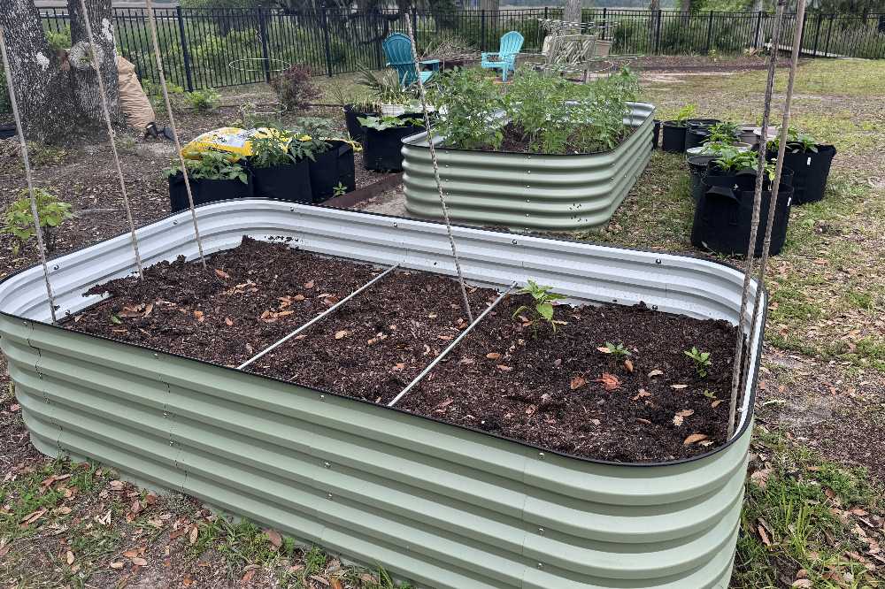 Build a Self-Fertilizing Raised Bed with Worms | VEGEGA