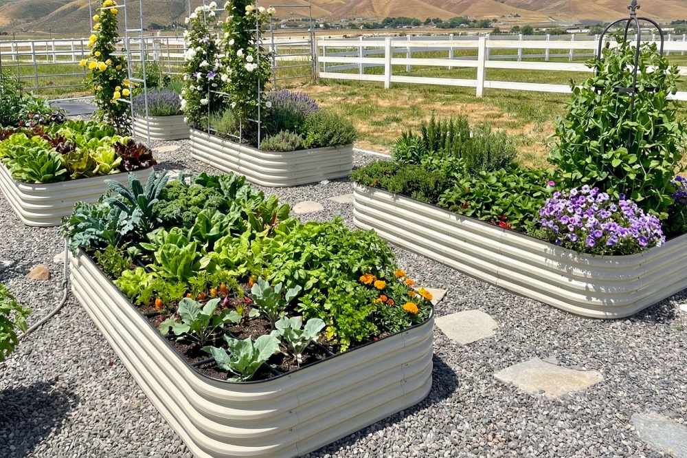 The Benefits of Using Metal Raised Beds in Your Garden