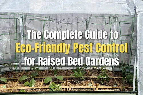 The Complete Guide to Eco-Friendly Pest Control for Raised Bed Gardens | VEGEGA