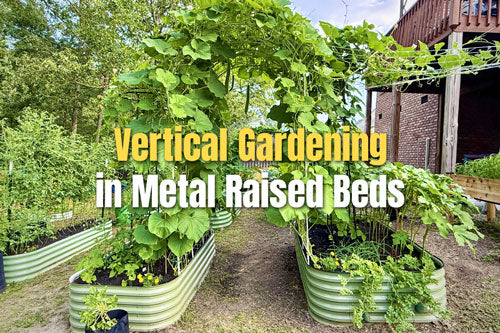 Vertical Gardening in Metal Raised Beds | VEGEGA