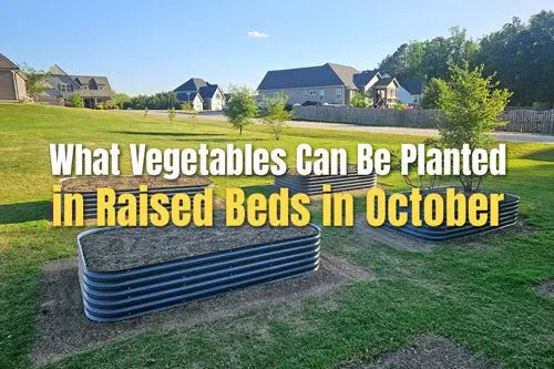 What to Plant in October | Vegega