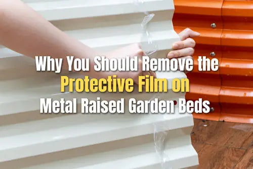 Why You Should Remove the Protective Film on Metal Raised Garden Beds-VEGEGA