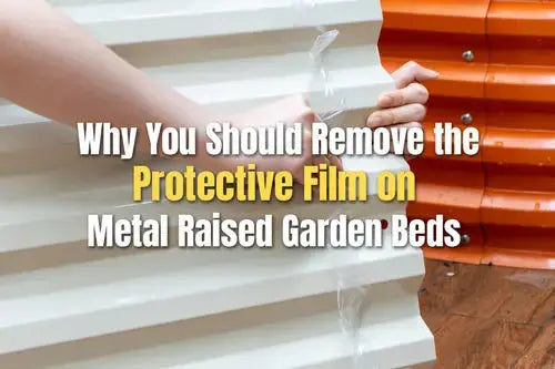 Why You Should Remove the Protective Film on Metal Raised Garden Beds-VEGEGA