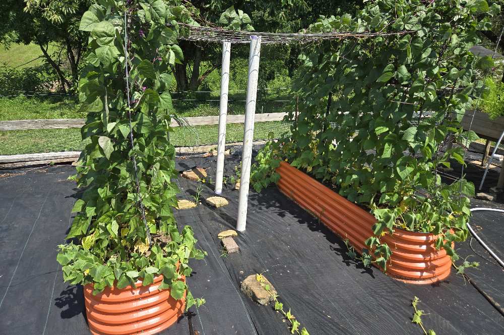 Why Metal Raised Garden Beds Are Better in Winter | VEGEGA