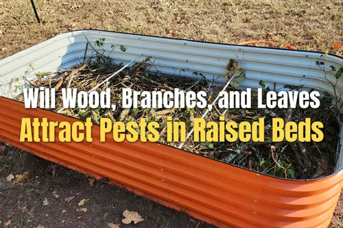 Will Wood, Branches, and Leaves Attract Pests in Raised Beds | VEGEGA