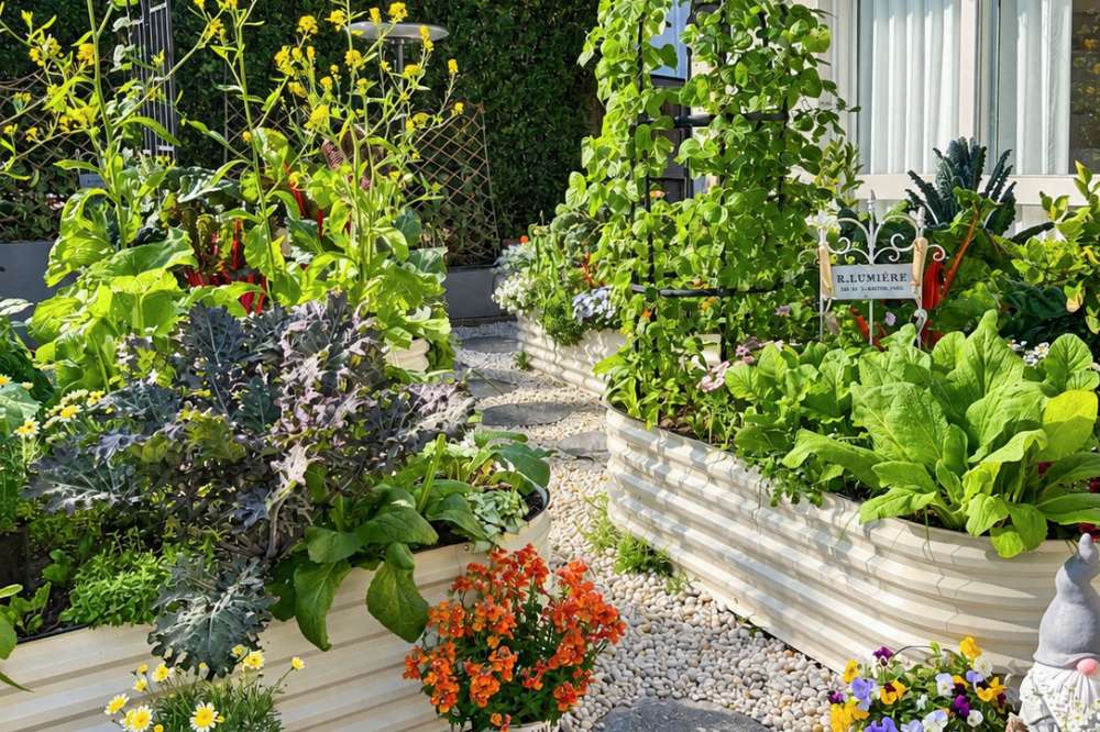 How to Create a Pollinator Garden That Attracts Beneficial Insects | VEGEGA