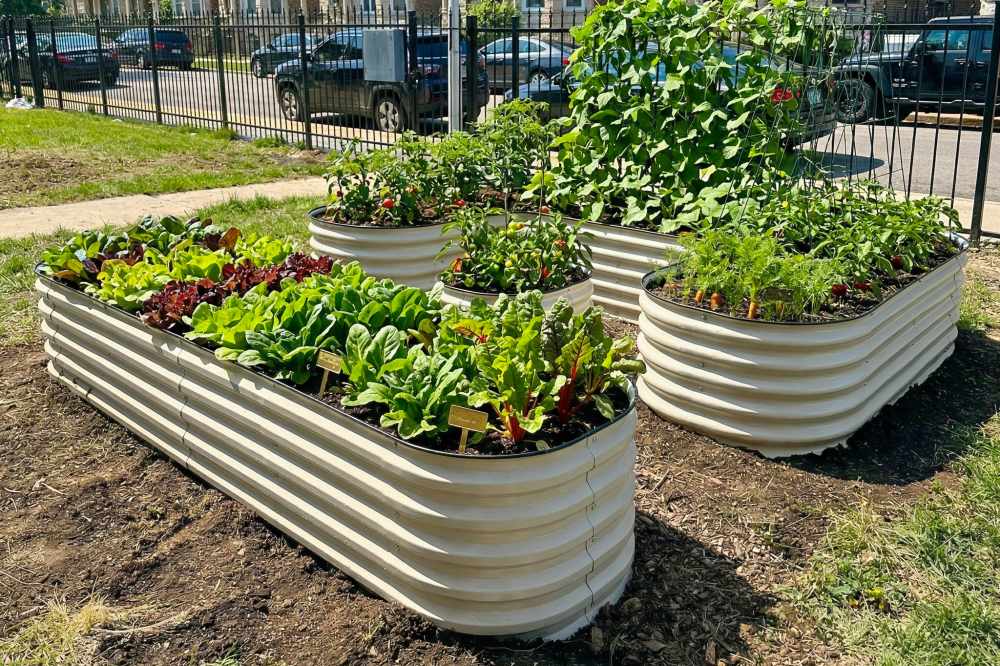 The Perfect Width & Shape for Metal Raised Garden Beds | VEGEGA