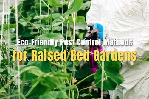 Eco-Friendly Pest Control Methods for Raised Bed Gardens