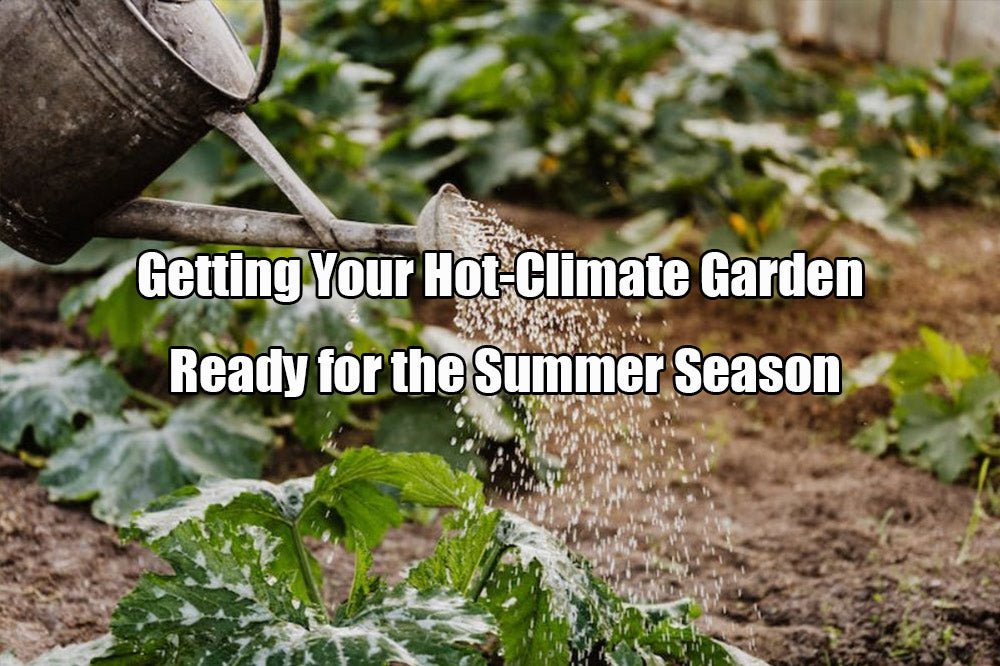 Getting Your Hot-Climate Garden Ready for the Summer Season - VEGEGA Metal Raised Garden Bed