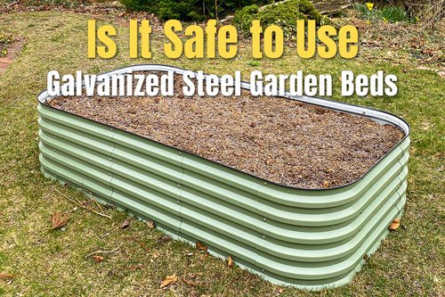 Is it safe to use galvanized steel garden beds