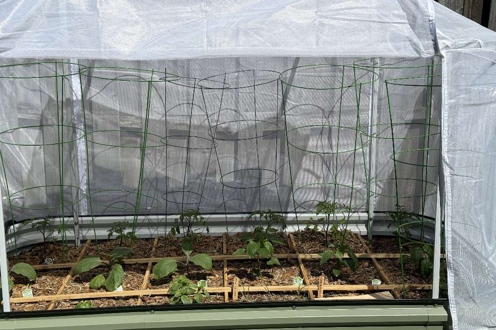 The Complete Guide to Eco-Friendly Pest Control for Raised Bed Gardens | VEGEGA