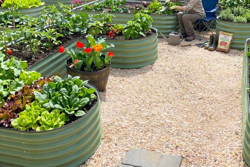 How to Improve Drainage in Raised Garden Beds | VEGEGA