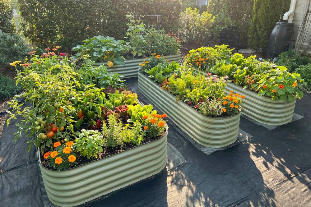 How to Fill, Water, and Fertilize Raised Garden Beds | VEGEGA