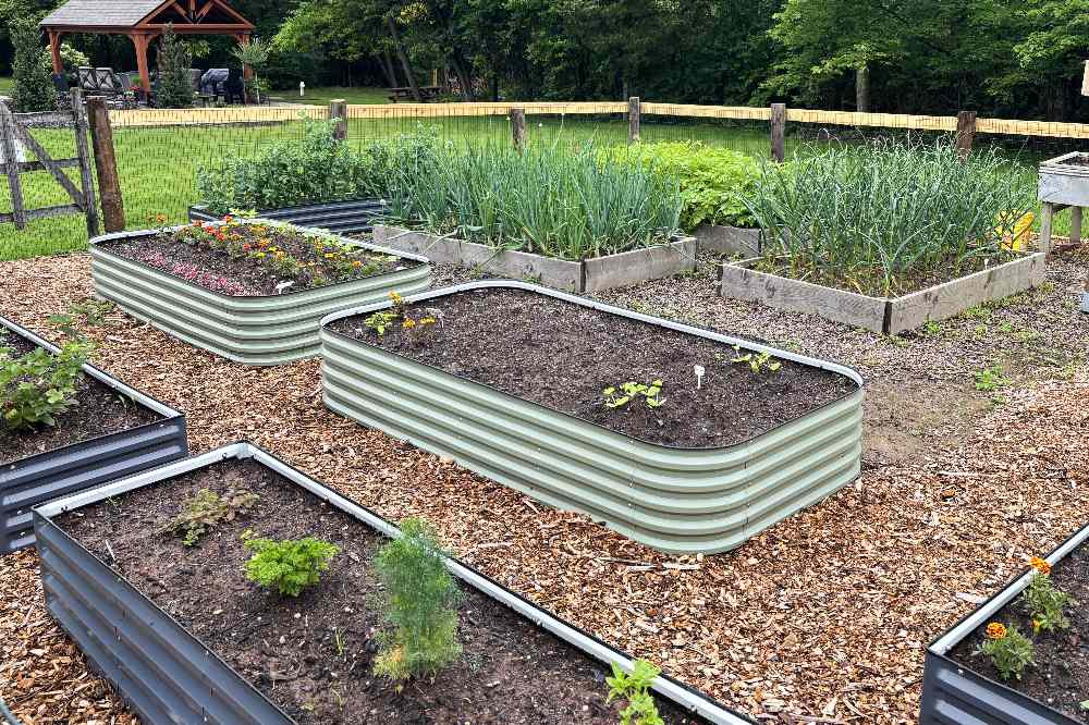 Cedar vs Metal Raised Beds: Which One Actually Lasts Longer Outdoors | VEGEGA