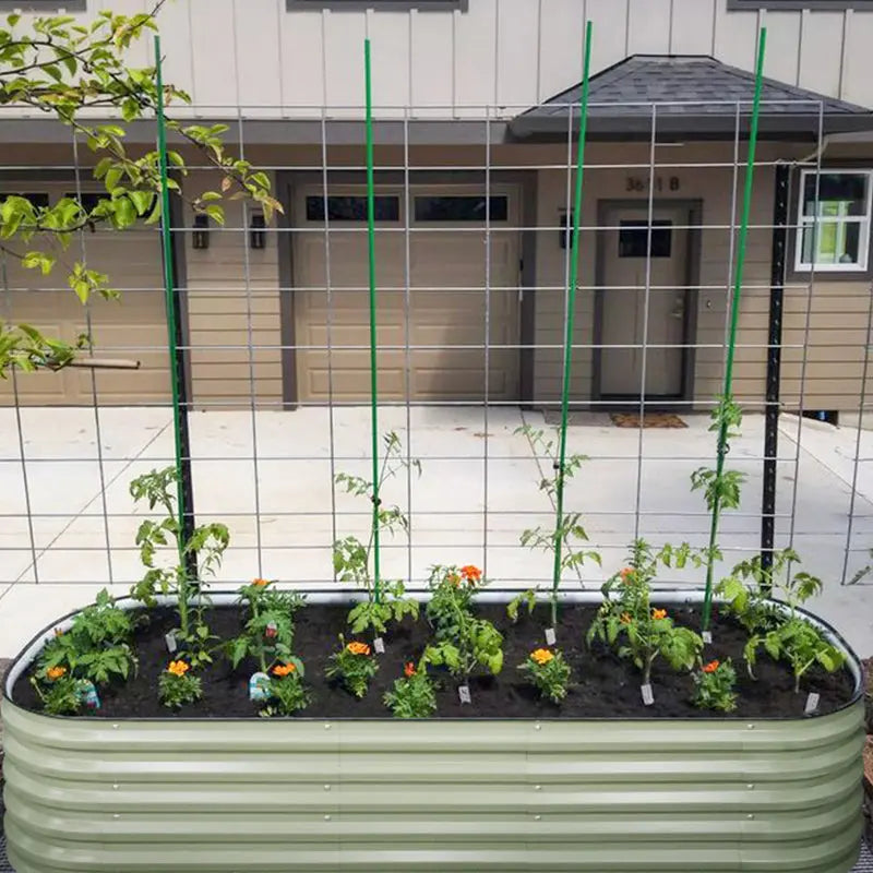 raised garden bed-Vegega